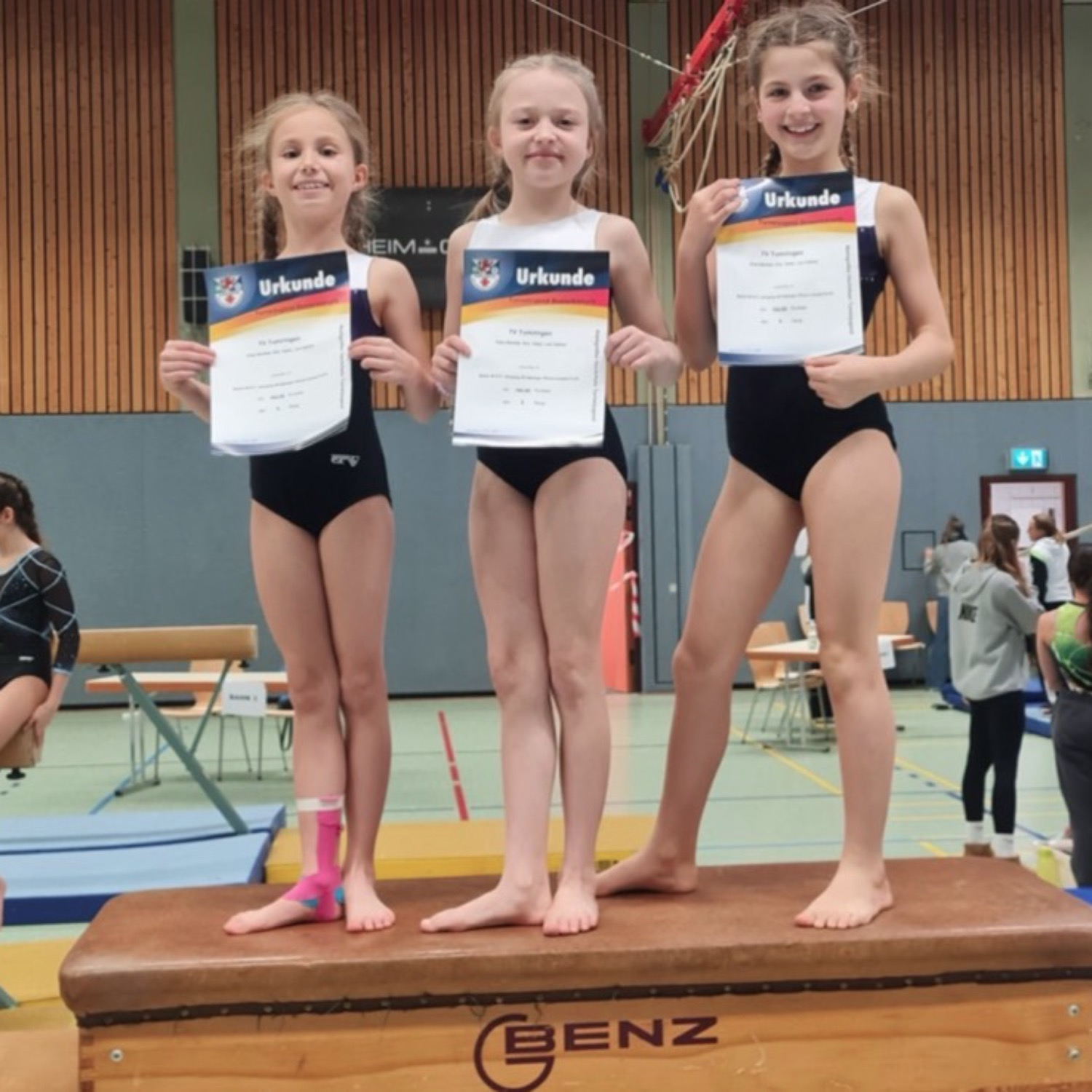 charity 3602704.jpeg